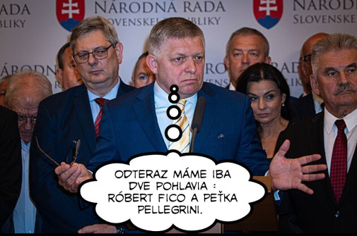 Príspevok 229230