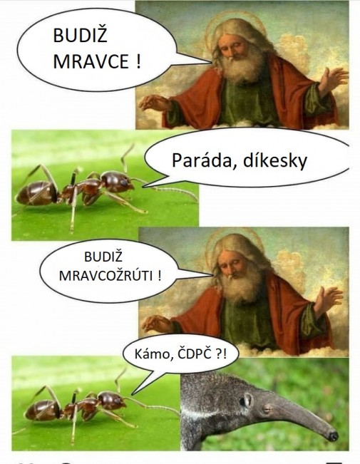 Príspevok 101862